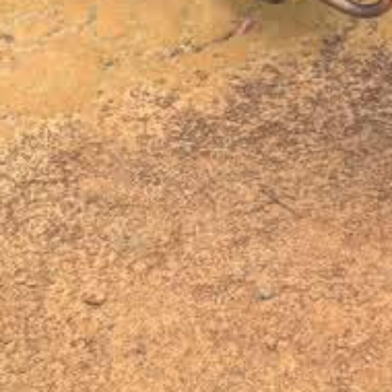 Profile picture of Aofheyw